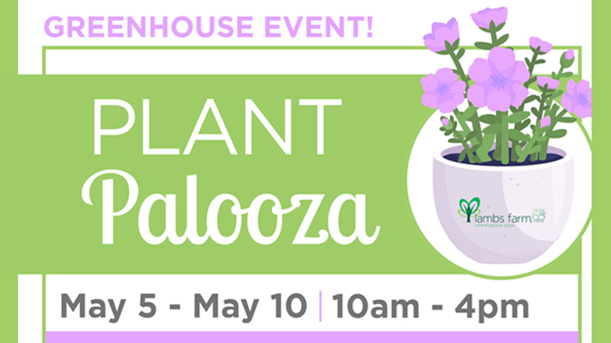 Plant Palooza at Lambs Farm
